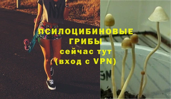 таблы Абаза