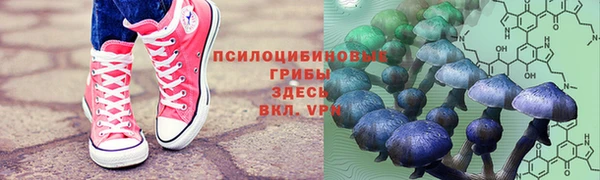 мдпв Абинск