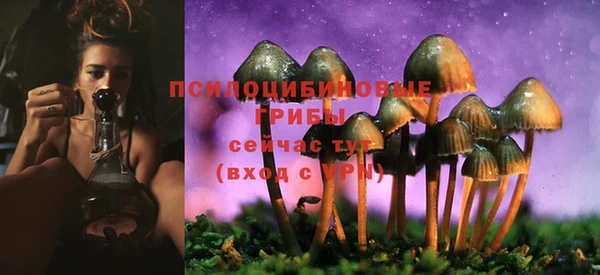 тгк Абдулино