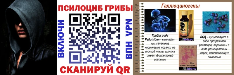 Псилоцибиновые грибы мицелий  закладки  Питкяранта 